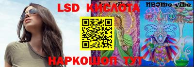 индика Гай