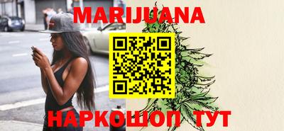 индика Гай