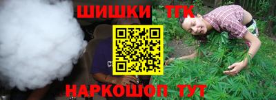 индика Гай