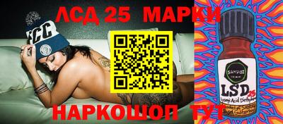 индика Гай