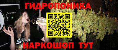 индика Гай