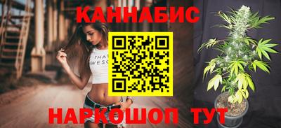 индика Гай