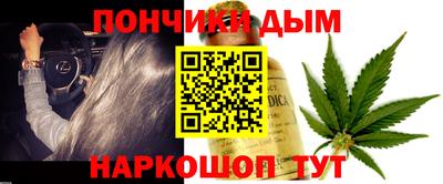 индика Гай
