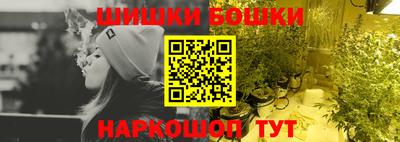 индика Гай