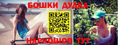 индика Гай