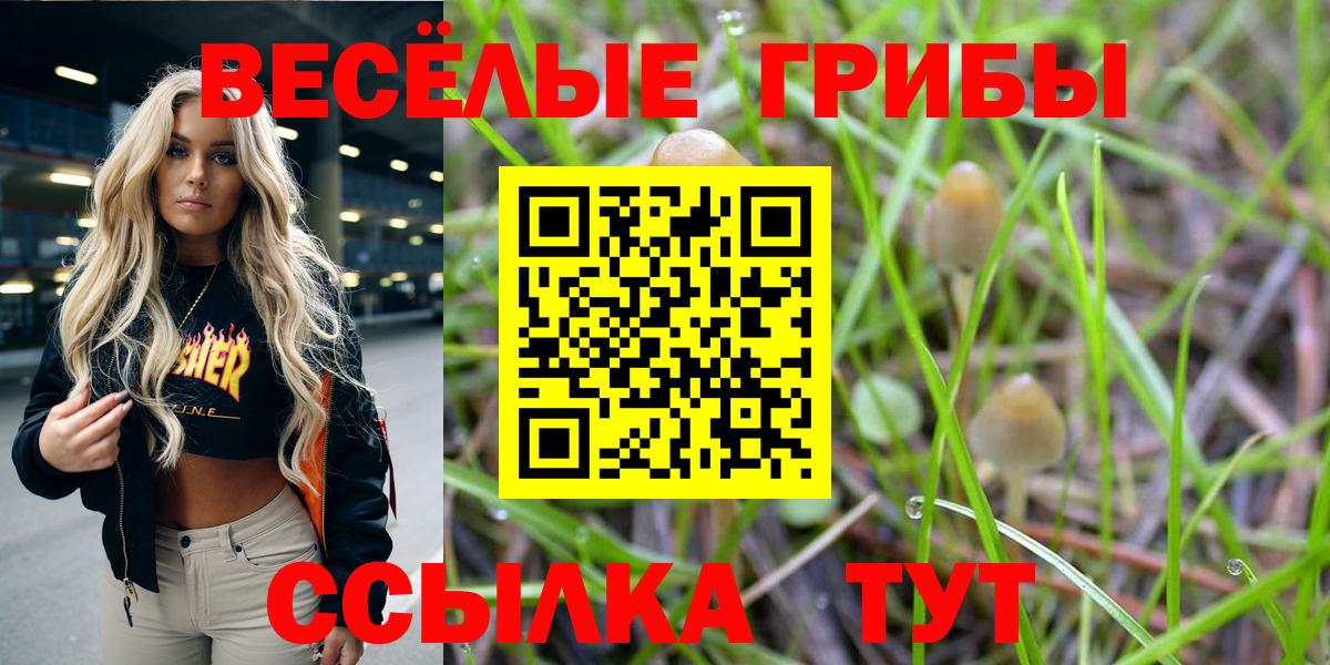 Псилоцибиновые грибы GOLDEN TEACHER  Псилоцибиновые грибы Magic Shrooms  Вход с VPN  Губаха 